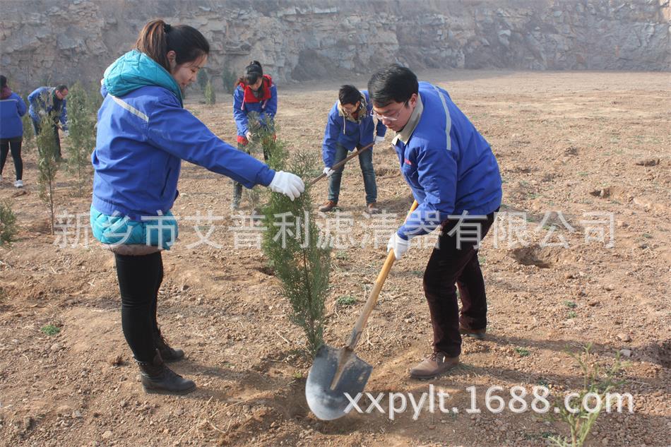 艾普利鳳凰山植樹，為美麗新鄉(xiāng)添新綠(圖2)